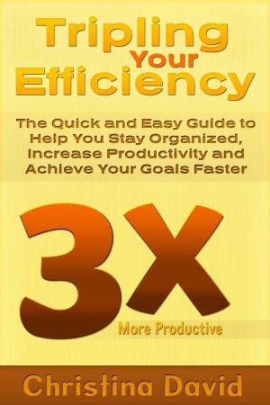 Cover of the book Tripling Your Efficiency by Humania De Las Rosas