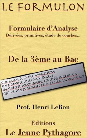 Cover of Le Formulon d'Analyse