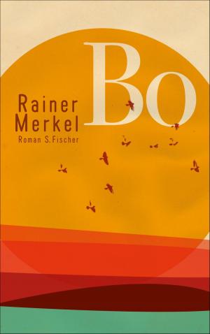 Cover of the book Bo by Giorgio Agamben