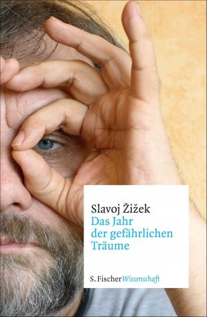 Cover of the book Das Jahr der gefährlichen Träume by Heinrich Mann