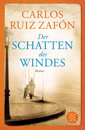 Cover of the book Der Schatten des Windes by Thomas Mann