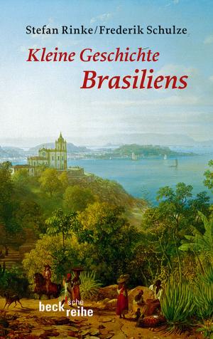Book cover of Kleine Geschichte Brasiliens