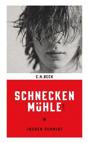 Book cover of Schneckenmühle