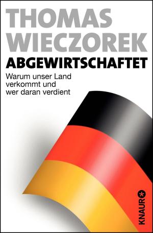 Cover of the book Abgewirtschaftet by Iny Lorentz