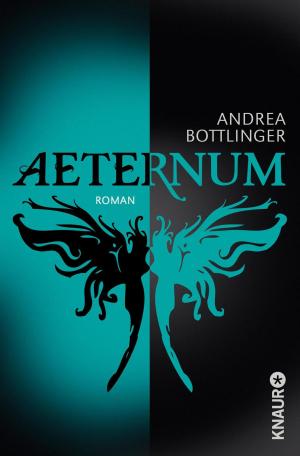 Cover of the book Aeternum by Cristián Gálvez