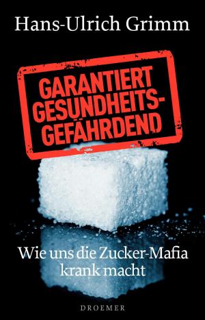 Cover of the book Garantiert gesundheitsgefährdend by Paul Kirchhof