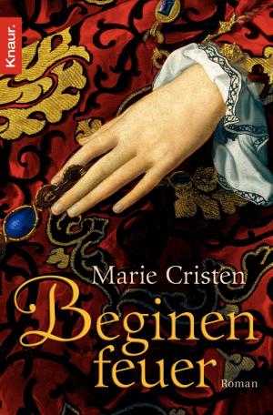 Cover of the book Beginenfeuer by Bernhard Moestl