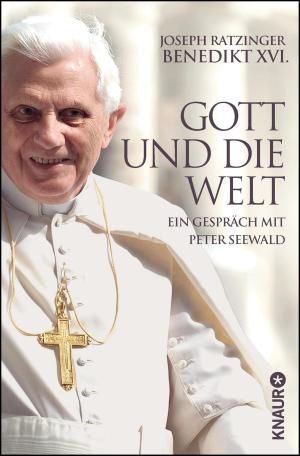 Book cover of Gott und die Welt