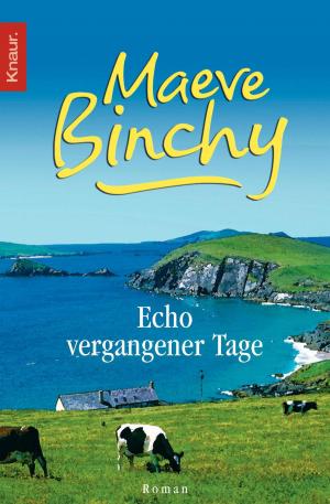 Cover of the book Echo vergangener Tage by Iny Lorentz