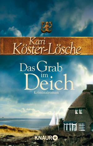 Cover of the book Das Grab im Deich by Anders de la Motte