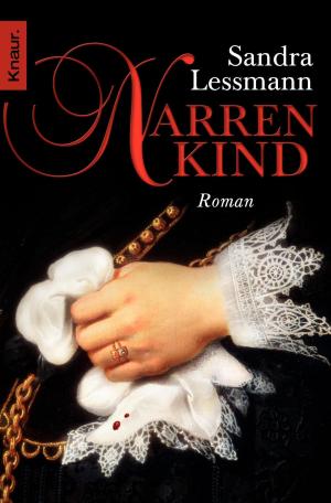 Cover of the book Narrenkind by Heidi Rehn