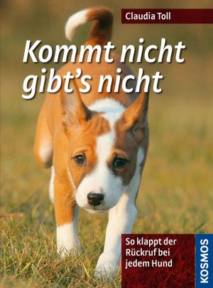 Cover of the book Kommt nicht gibt's nicht by Ute Wilhelmsen