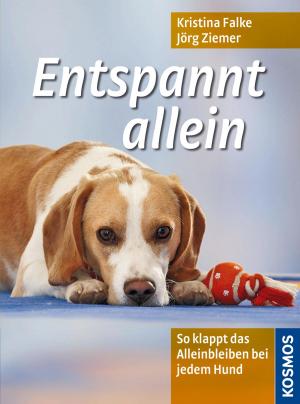 Book cover of Entspannt allein