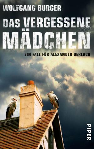 Cover of the book Das vergessene Mädchen by Jürgen Seibold