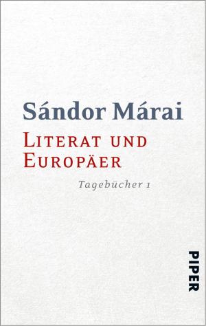 Cover of the book Literat und Europäer by Adriana Popescu
