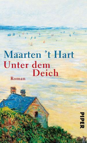 Cover of the book Unter dem Deich by Benedikt Böhm