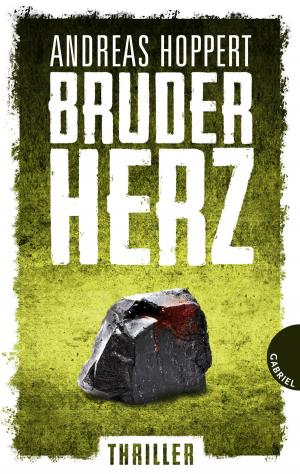 Book cover of Bruderherz