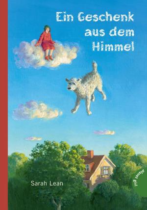 Book cover of Ein Geschenk aus dem Himmel