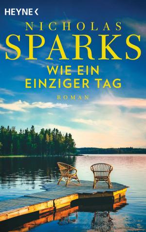 Cover of the book Wie ein einziger Tag by Marian Keyes