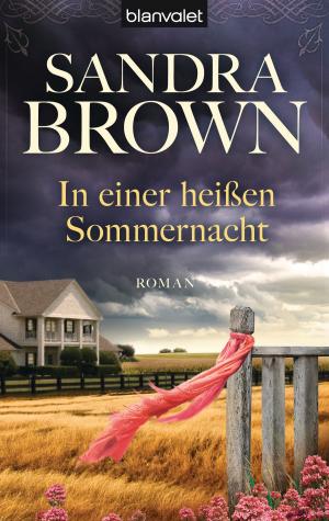 Cover of the book In einer heißen Sommernacht by Angela Gray