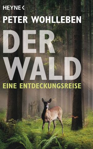 Cover of the book Der Wald by Peter Wohlleben
