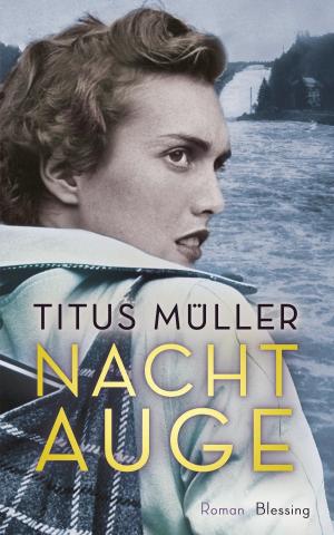 Cover of the book Nachtauge by Dieter Hildebrandt
