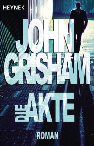Cover of the book Die Akte by J.E. Fishman