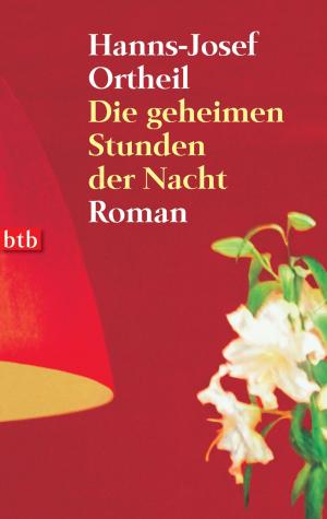 Cover of the book Die geheimen Stunden der Nacht by Christoph Peters