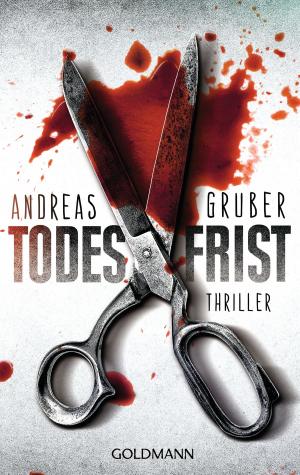 Cover of the book Todesfrist by Jeffery Deaver