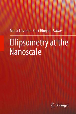 Cover of the book Ellipsometry at the Nanoscale by Jens Kappauf, Bernd Lauterbach, Matthias Koch