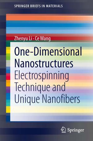 Cover of the book One-Dimensional nanostructures by Heide Otten