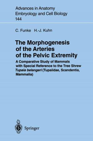 Cover of the book The Morphogenesis of the Arteries of the Pelvic Extremity by Yujun Feng, Zonglin Chu, Cécile A. Dreiss