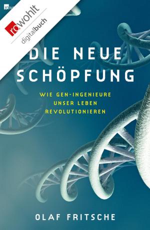 Cover of the book Die neue Schöpfung by Gunter Martens