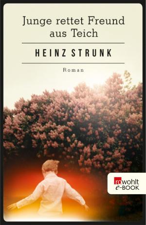Book cover of Junge rettet Freund aus Teich