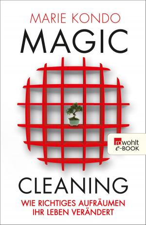 Book cover of Magic Cleaning