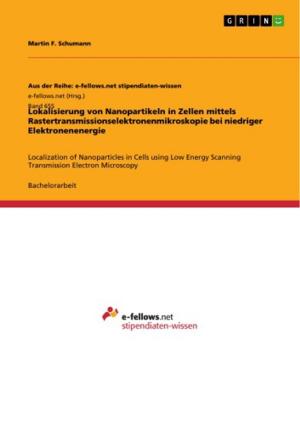 Cover of the book Lokalisierung von Nanopartikeln in Zellen mittels Rastertransmissionselektronenmikroskopie bei niedriger Elektronenenergie by David Jugel