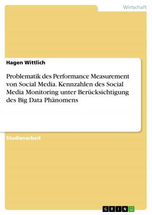 Cover of Problematik des Performance Measurement von Social Media. Kennzahlen des Social Media Monitoring unter Berücksichtigung des Big Data Phänomens