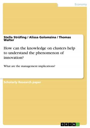 Cover of the book How can the knowledge on clusters help to understand the phenomenon of innovation? by Dominik Wohlfarth