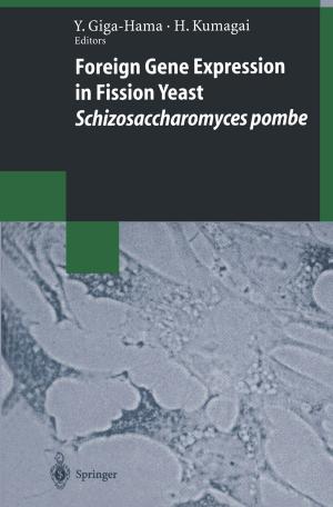 Cover of the book Foreign Gene Expression in Fission Yeast: Schizosaccharomyces pombe by Chiara Buratti, Marco Martalo', Roberto Verdone, Gianluigi Ferrari