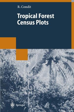 Cover of the book Tropical Forest Census Plots by Xiaolin Wang, Limin Wang, Yan Wang