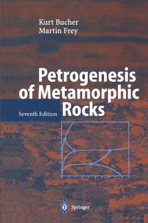 Cover of the book Petrogenesis of Metamorphic Rocks by Peter F. Orlowski