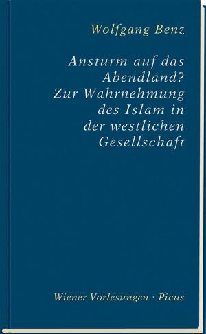 Cover of the book Ansturm auf das Abendland? by Tomo Mirko Pavlovic