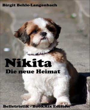 Cover of the book Nikita by Noah Daniels