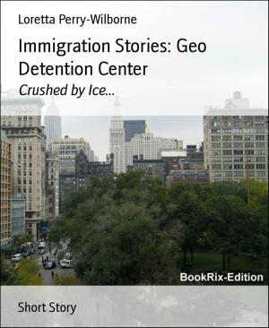 Cover of the book Immigration Stories: Geo Detention Center by Cora Kaine
