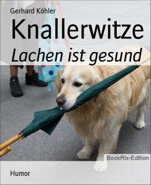 Cover of the book Knallerwitze by Jennifer Burlock