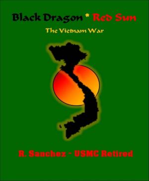 Cover of the book Black Dragon Red Sun by Mattis Lundqvist