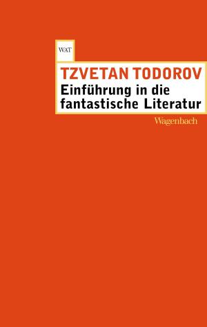 Book cover of Einführung in die fantastische Literatur