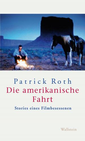 Cover of Die amerikanische Fahrt