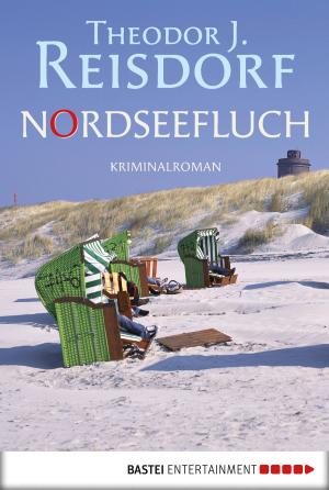 Cover of the book Nordseefluch by Norman Stark