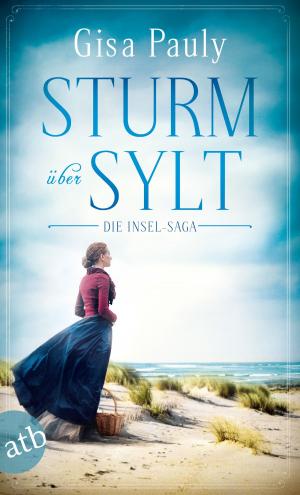 Cover of the book Sturm über Sylt by Hans Fallada, Almut Giesecke